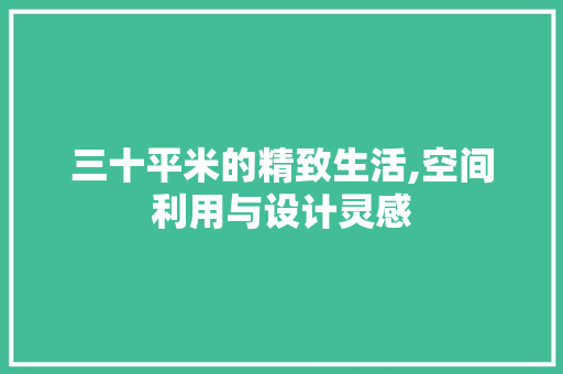 三十平米的精致生活,空间利用与设计灵感