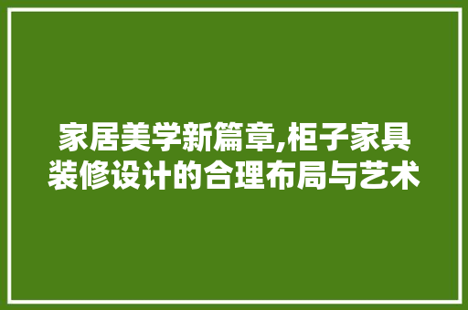 家居美学新篇章,柜子家具装修设计的合理布局与艺术融合