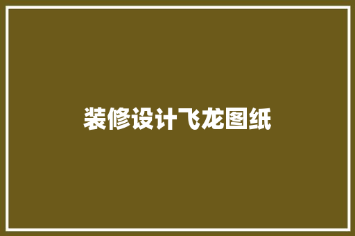 装修设计飞龙图纸