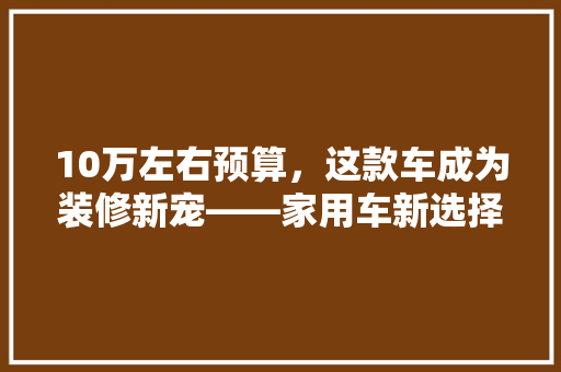 10万左右预算，这款车成为装修新宠——家用车新选择
