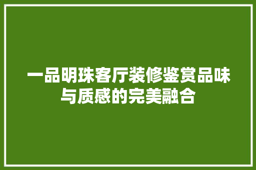 一品明珠客厅装修鉴赏品味与质感的完美融合