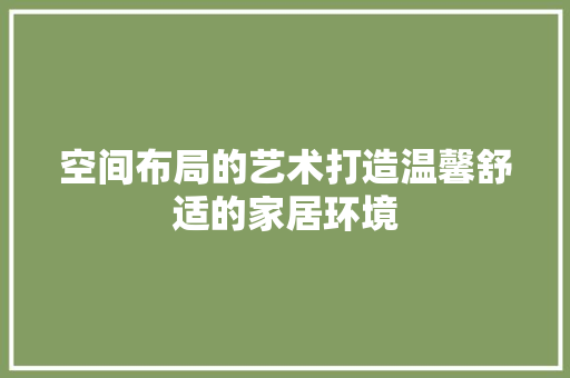 空间布局的艺术打造温馨舒适的家居环境