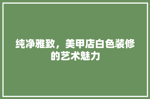 纯净雅致，美甲店白色装修的艺术魅力
