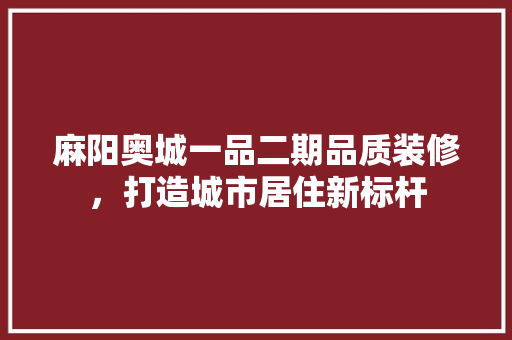 麻阳奥城一品二期品质装修，打造城市居住新标杆