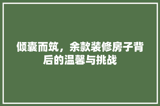 倾囊而筑，余款装修房子背后的温馨与挑战