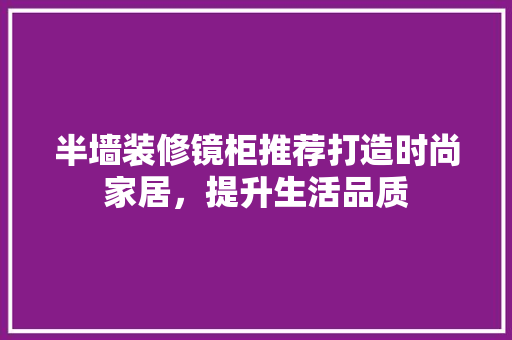 半墙装修镜柜推荐打造时尚家居，提升生活品质