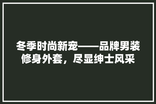 冬季时尚新宠——品牌男装修身外套，尽显绅士风采