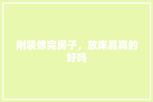 刚装修完房子，放床品真的好吗