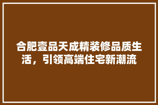 合肥壹品天成精装修品质生活，引领高端住宅新潮流