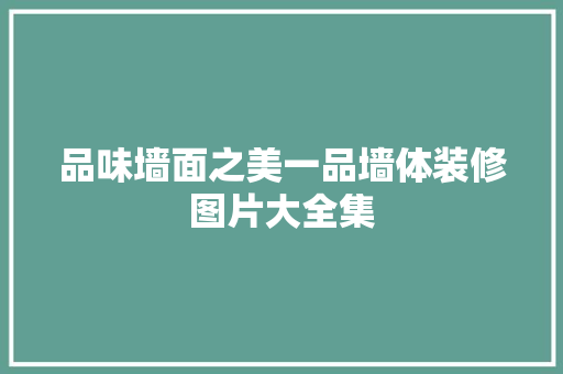 品味墙面之美一品墙体装修图片大全集