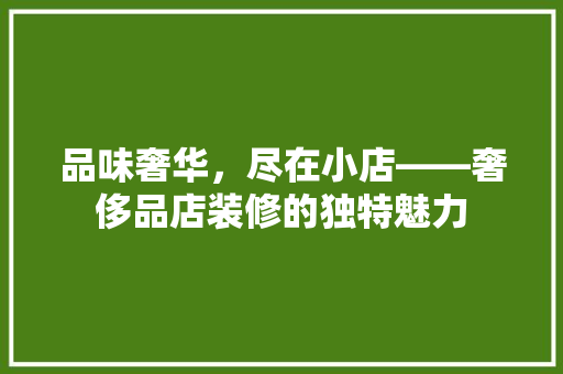 品味奢华，尽在小店——奢侈品店装修的独特魅力