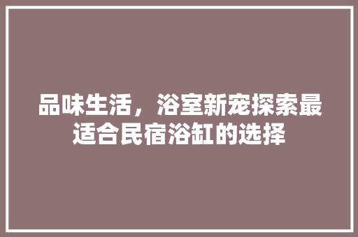 品味生活，浴室新宠探索最适合民宿浴缸的选择