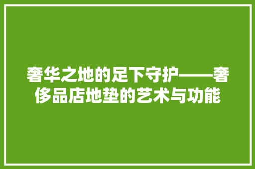 奢华之地的足下守护——奢侈品店地垫的艺术与功能