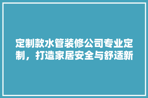 定制款水管装修公司专业定制，打造家居安全与舒适新体验