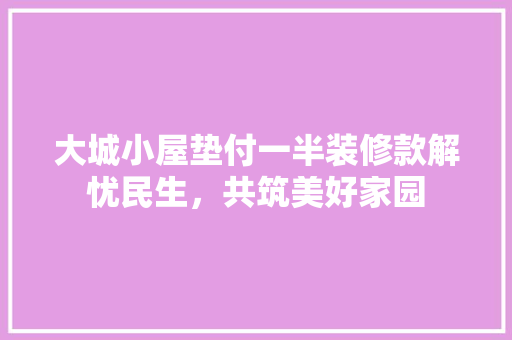 大城小屋垫付一半装修款解忧民生，共筑美好家园