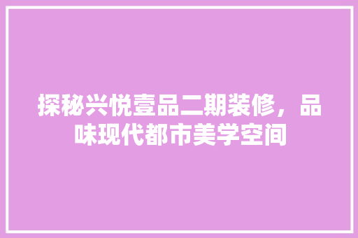探秘兴悦壹品二期装修，品味现代都市美学空间