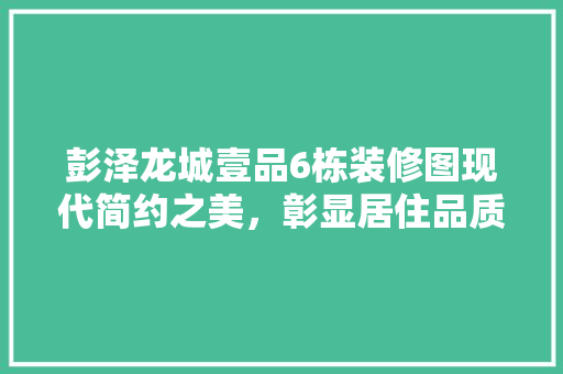 彭泽龙城壹品6栋装修图现代简约之美，彰显居住品质