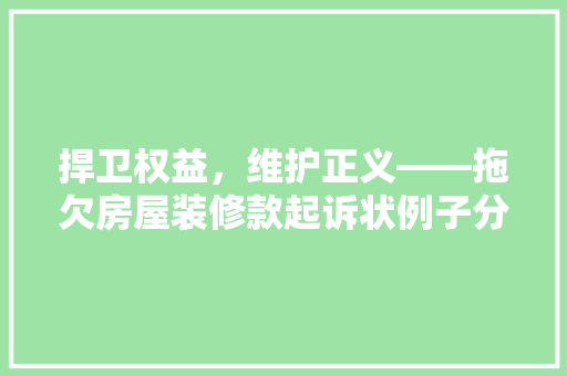 捍卫权益，维护正义——拖欠房屋装修款起诉状例子分析