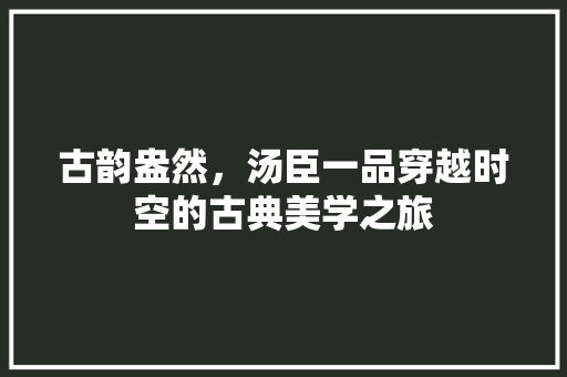 古韵盎然，汤臣一品穿越时空的古典美学之旅