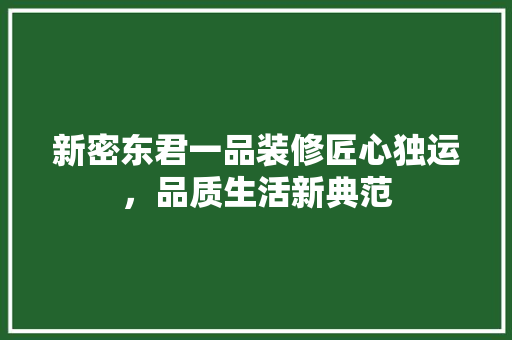 新密东君一品装修匠心独运，品质生活新典范