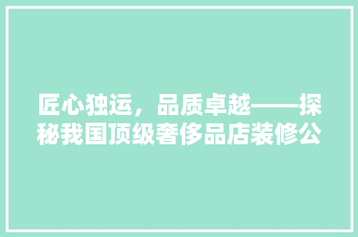 匠心独运，品质卓越——探秘我国顶级奢侈品店装修公司