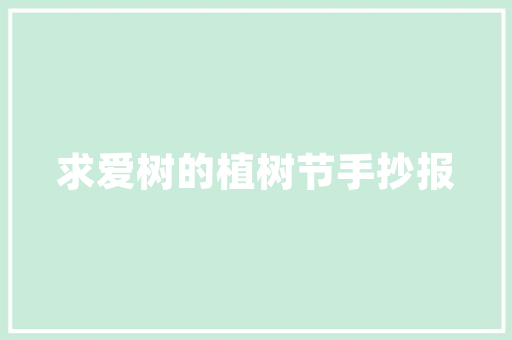 品字型纯南户型装修攻略打造温馨舒适的家居空间