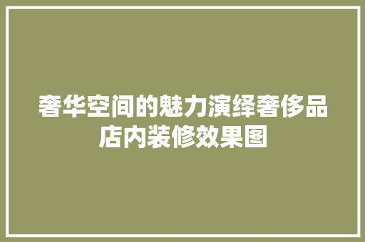 奢华空间的魅力演绎奢侈品店内装修效果图