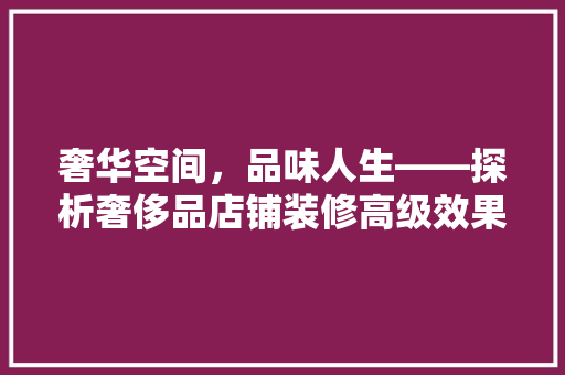 奢华空间，品味人生——探析奢侈品店铺装修高级效果图的艺术魅力