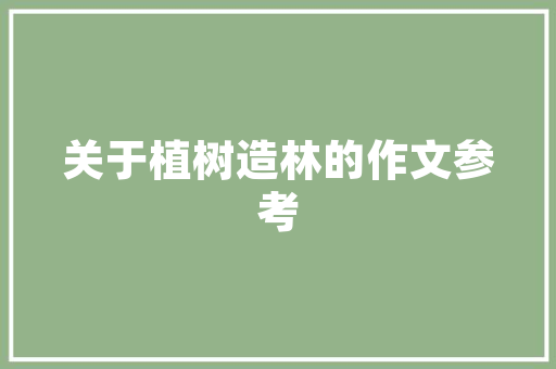 大叔童品店匠心独运的装修设计，打造温馨童趣空间