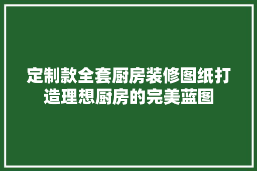 定制款全套厨房装修图纸打造理想厨房的完美蓝图