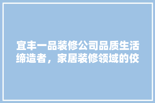 宜丰一品装修公司品质生活缔造者，家居装修领域的佼佼者