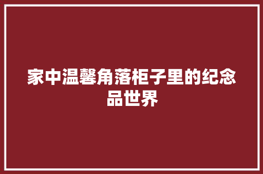 家中温馨角落柜子里的纪念品世界