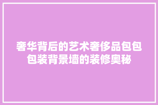 奢华背后的艺术奢侈品包包包装背景墙的装修奥秘