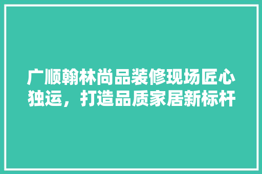 广顺翰林尚品装修现场匠心独运，打造品质家居新标杆