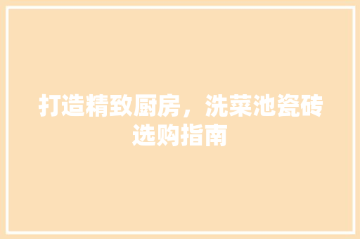 打造精致厨房，洗菜池瓷砖选购指南