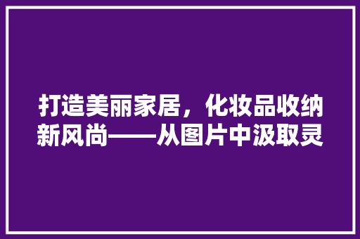 打造美丽家居，化妆品收纳新风尚——从图片中汲取灵感