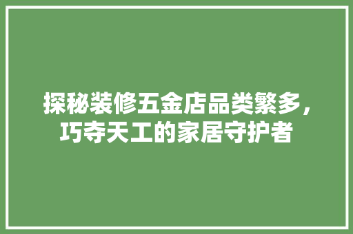 探秘装修五金店品类繁多，巧夺天工的家居守护者