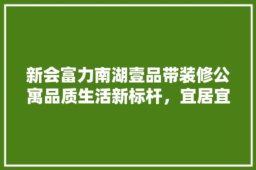新会富力南湖壹品带装修公寓品质生活新标杆，宜居宜投资首选