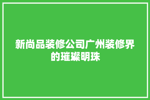 新尚品装修公司广州装修界的璀璨明珠