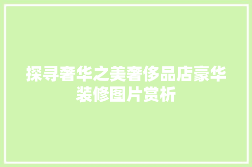 探寻奢华之美奢侈品店豪华装修图片赏析