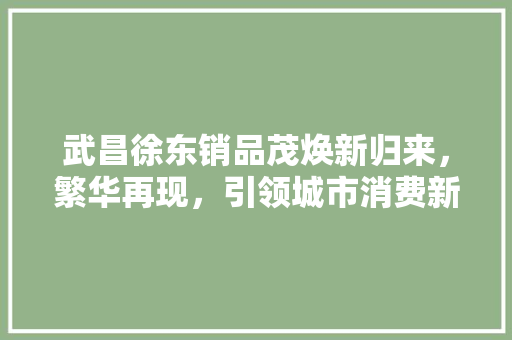 武昌徐东销品茂焕新归来，繁华再现，引领城市消费新风尚