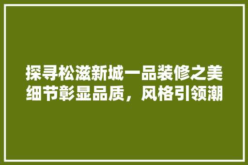 探寻松滋新城一品装修之美细节彰显品质，风格引领潮流