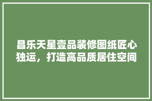 昌乐天星壹品装修图纸匠心独运，打造高品质居住空间
