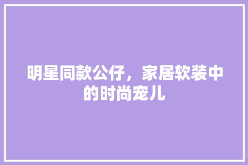 明星同款公仔，家居软装中的时尚宠儿