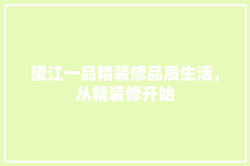 望江一品精装修品质生活，从精装修开始