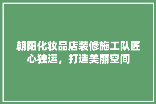 朝阳化妆品店装修施工队匠心独运，打造美丽空间