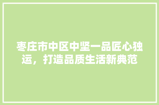 枣庄市中区中坚一品匠心独运，打造品质生活新典范