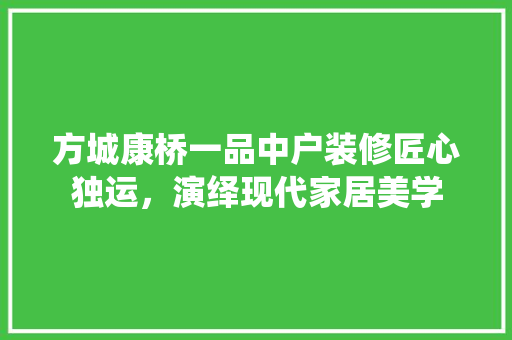 方城康桥一品中户装修匠心独运，演绎现代家居美学