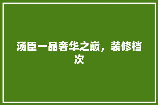 汤臣一品奢华之巅，装修档次