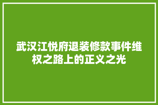 武汉江悦府退装修款事件维权之路上的正义之光